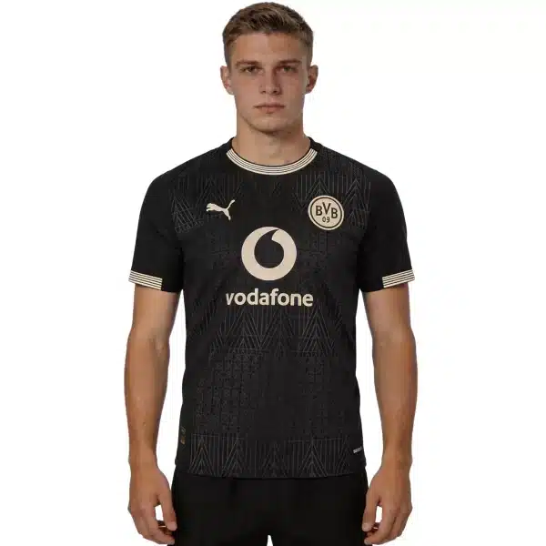 Borussia Dortmund 100th Anniversary Rote Erde Special Edition Jersey 2026